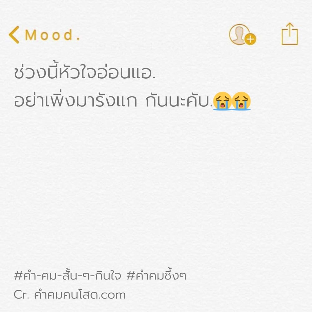 214 คำคมซึ้งๆ Caption คําคมโดนๆสั้นๆลงเฟส ฮิตติดเทรนด์ ปี 2022-2023